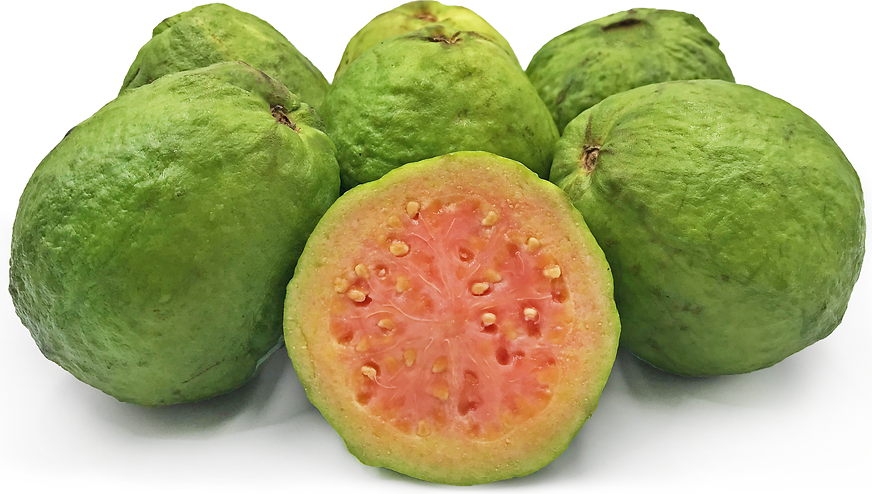 Red Brazilian Guava picture