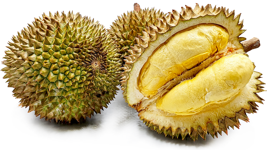 Kan Yao Durian picture
