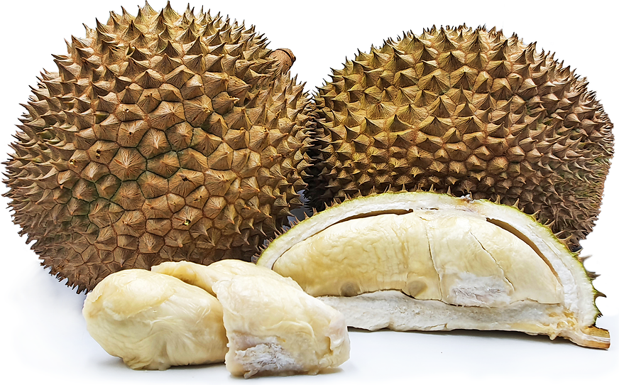 Hepe Durian picture
