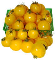 Yellow Sweet 100s Cherry Tomatoes picture