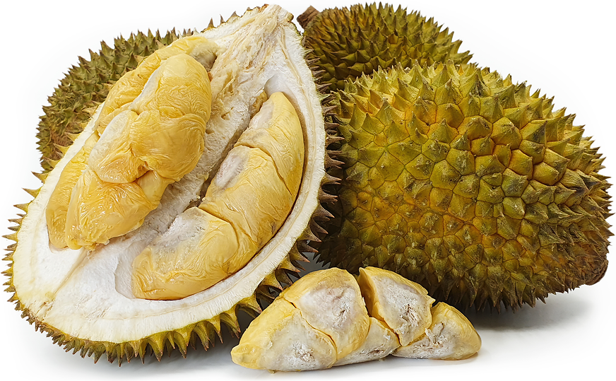 Durian D1 picture