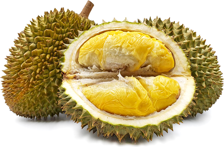 Puang Manee Durian picture
