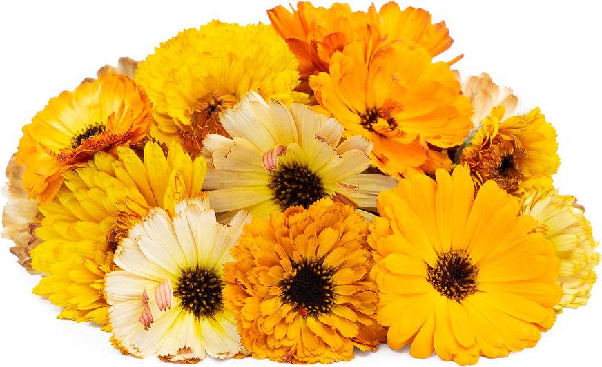 Mix Calendula Flowers picture