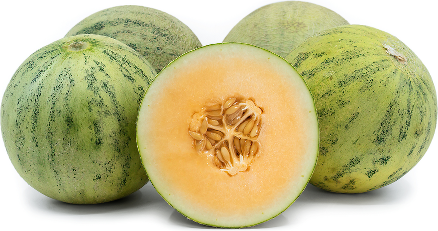 Bonny Melon picture