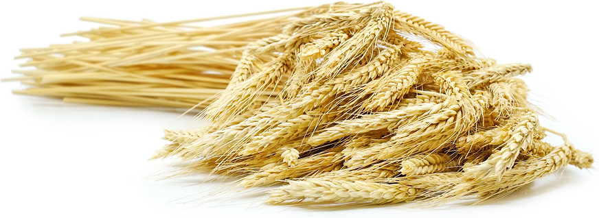 Wheat Stalks picture