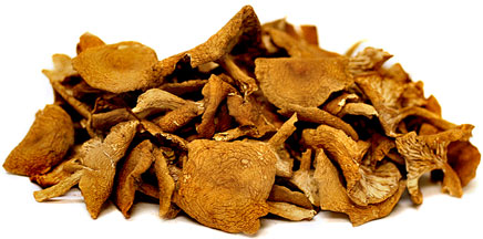 Dried Candy Cap Mushrooms picture