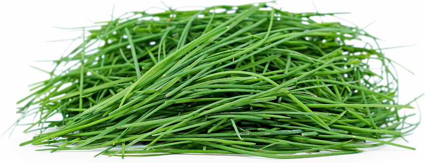 Petite® Chives picture