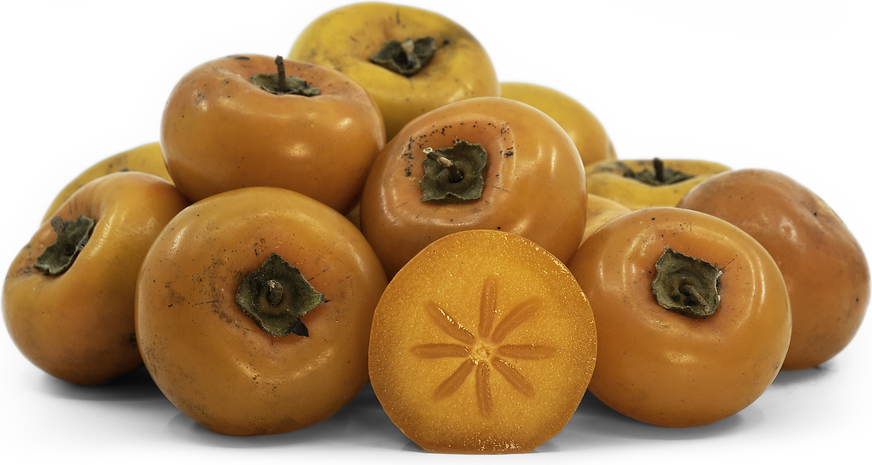 Tropical Persimmons picture