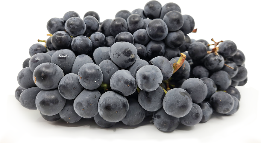 Grapes Piedmont picture