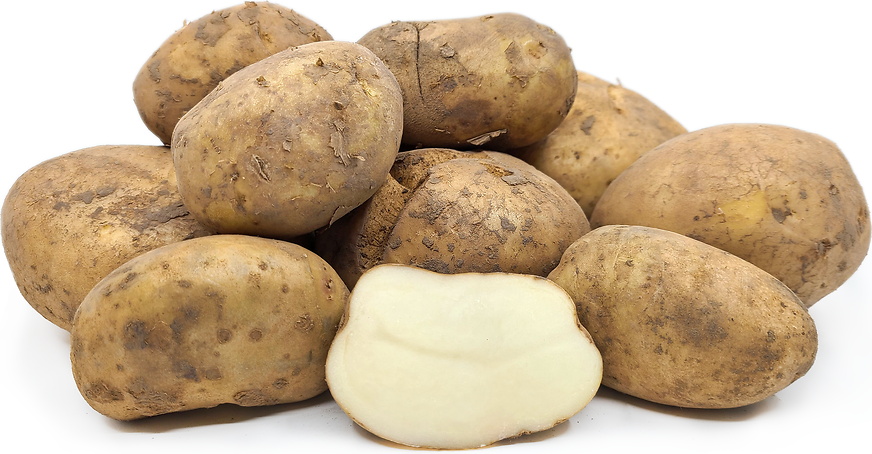 Sagitta Potatoes picture