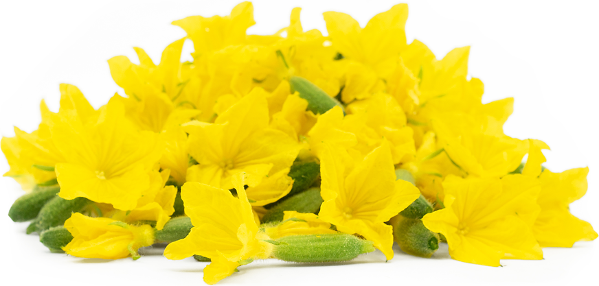 Cucumber Blossoms picture