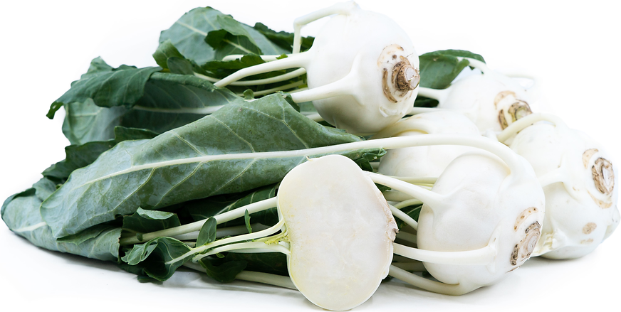 White Kohlrabi picture