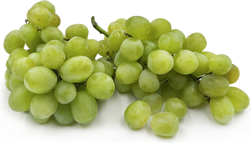 Candy Floss Grapes picture