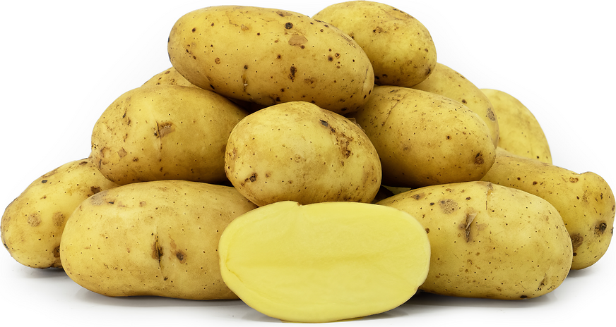 Charlotte Potatoes picture