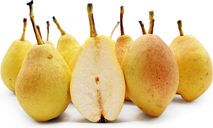 Dilafruz Pears picture