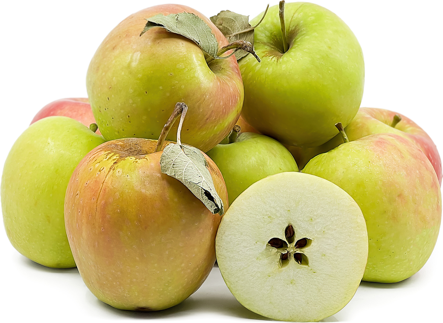 Korey Apples picture