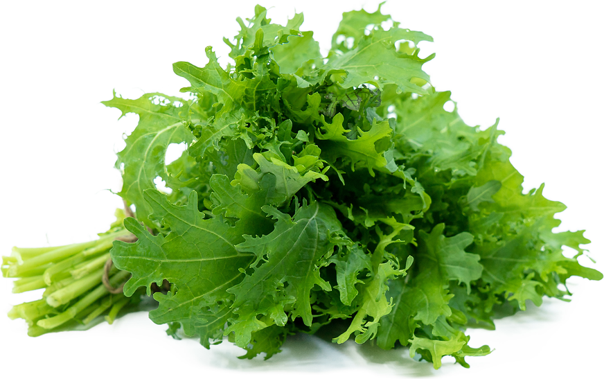 Eclipse Mustard Greens picture