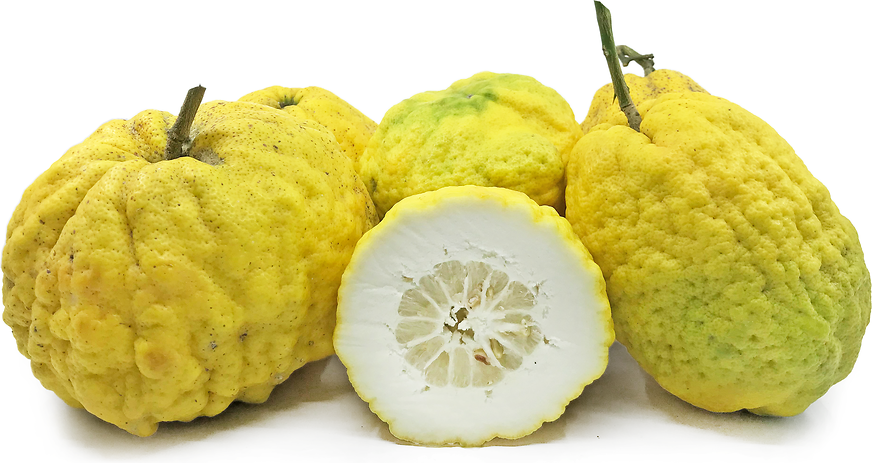Ponzino Lemons picture