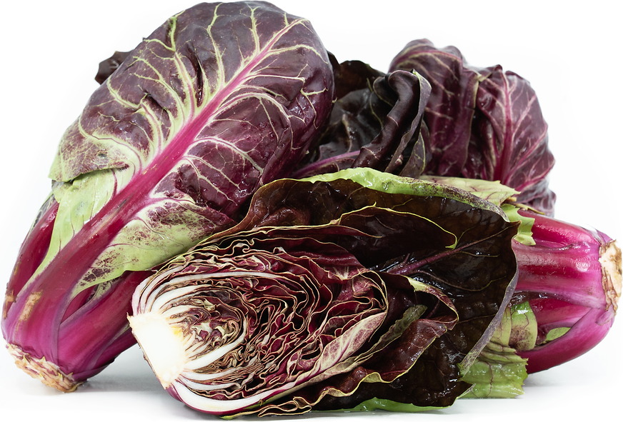 Costa Rossa Radicchio picture