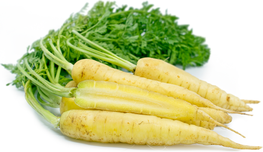 Baby White Bunched Carrots picture