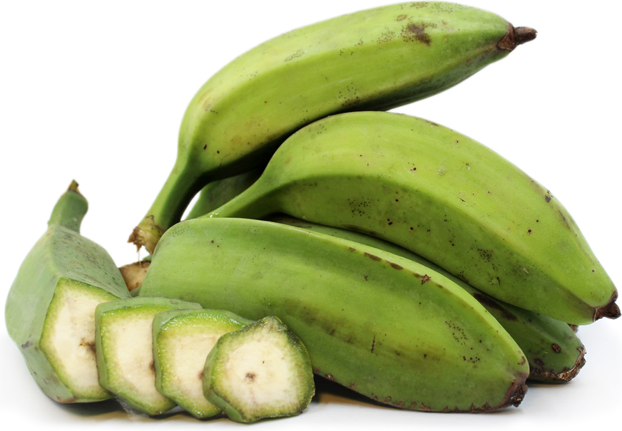 Popocho Plantain Bananas picture