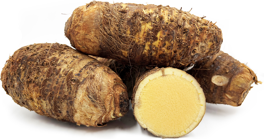 Yellow Malanga Root picture