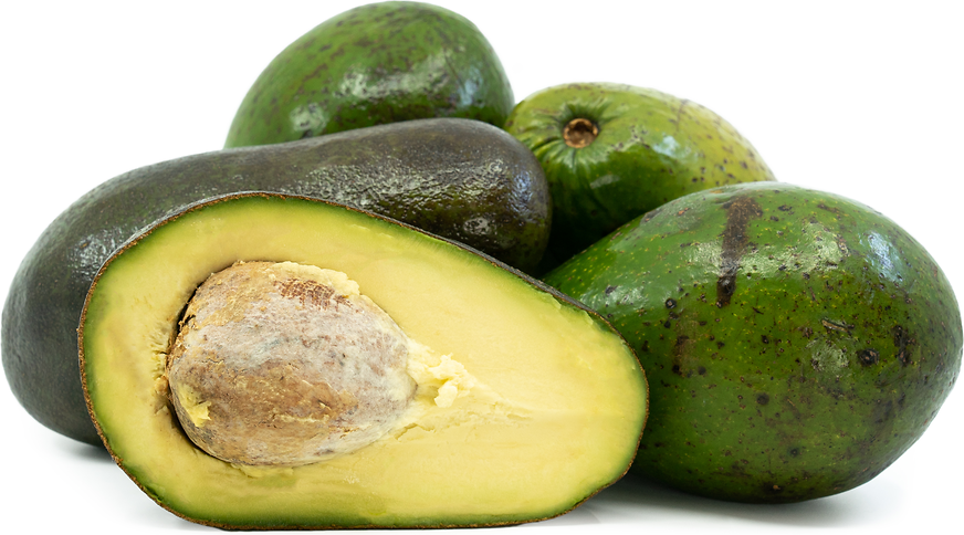 Dominican Avocados picture
