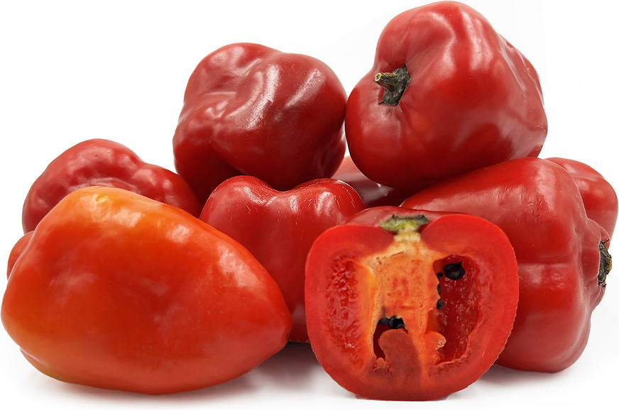 Red Manzana Chile Peppers picture