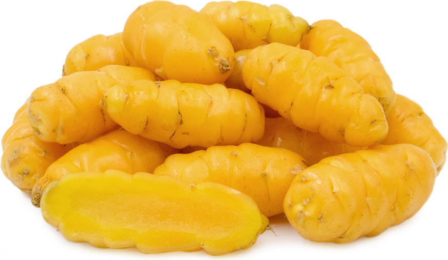 Sunrise Oca Information, Recipes and Facts