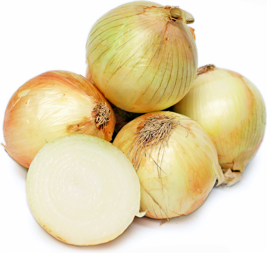 California Sweet Onions 1015 picture