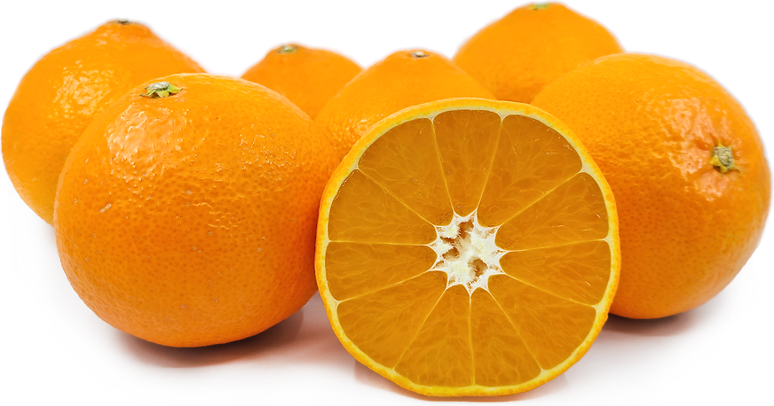 Amakusa Oranges picture