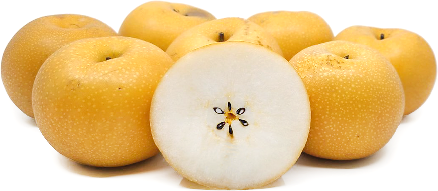 Qiuyue® Asian Pears picture