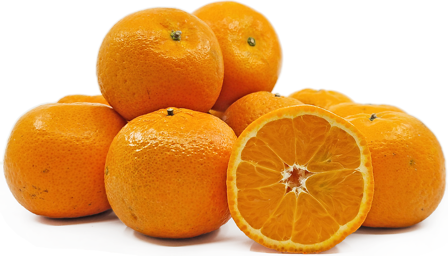 Swatow Jiaokan Mandarins picture