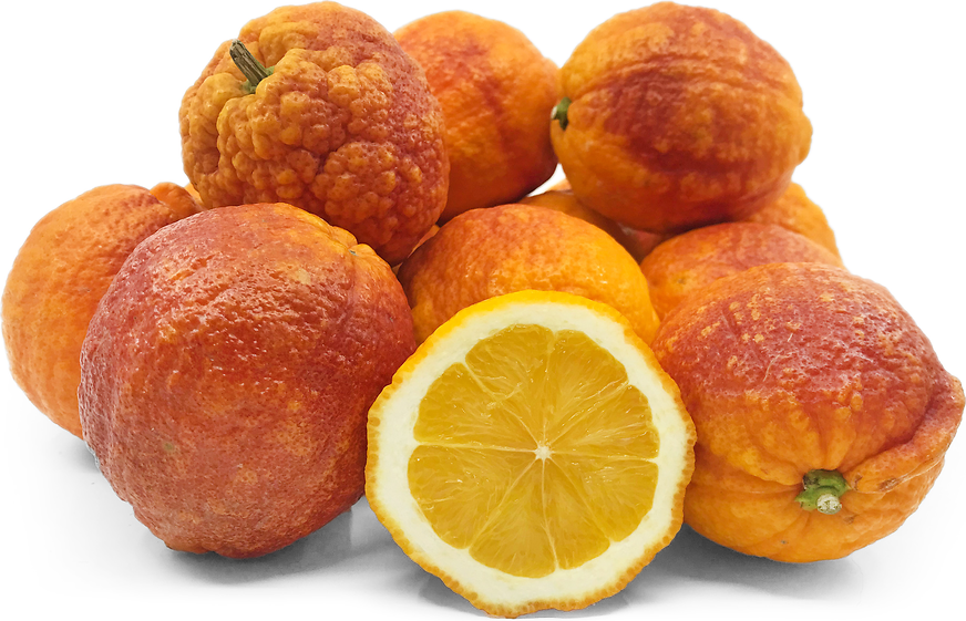 Red Lemon Fruit picture
