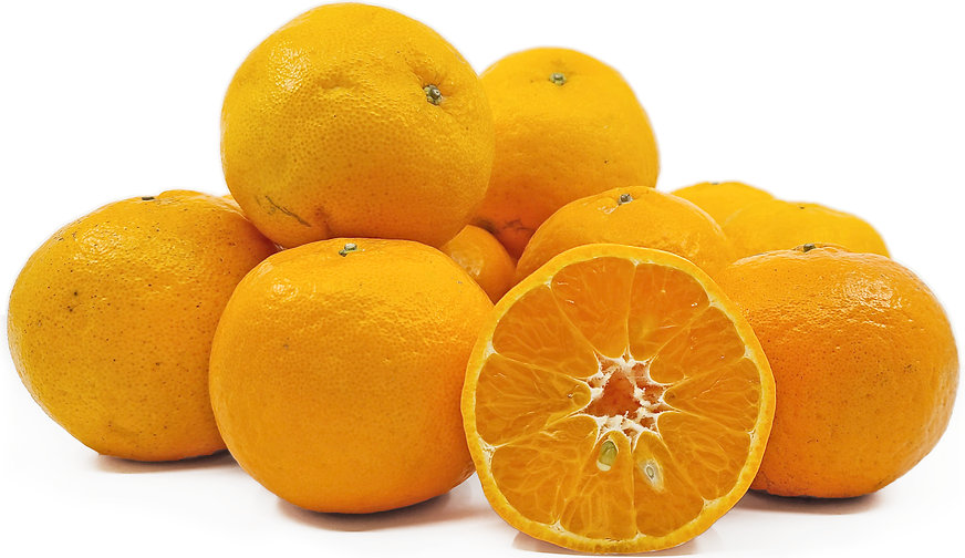 Taiwanese Ponkan Tangerines picture
