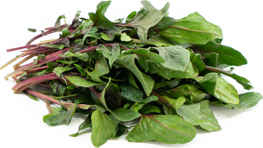 Red Snapper Spinach picture