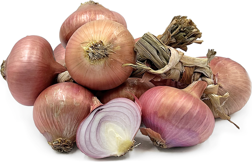 Ramata di Montoro Onions picture