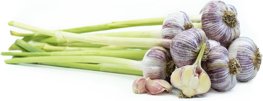 Chinese Pink Garlic picture
