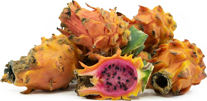 Sunset Dragon Fruit picture