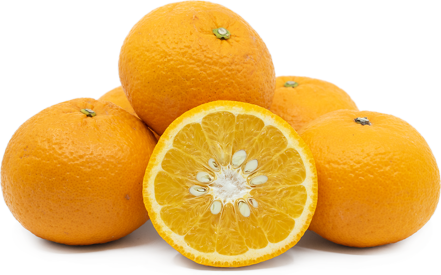 Beni Amanatsu Oranges picture