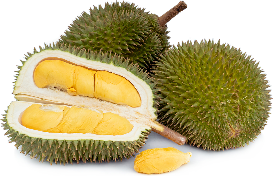101 Durian picture