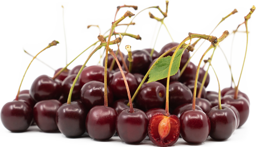 Griotte d'Ostheim Cherries picture