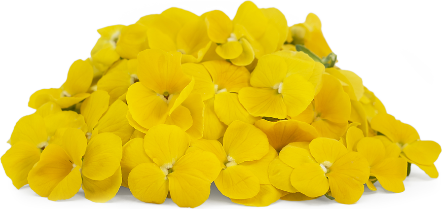 Fresh Flowers Violas Yellow picture