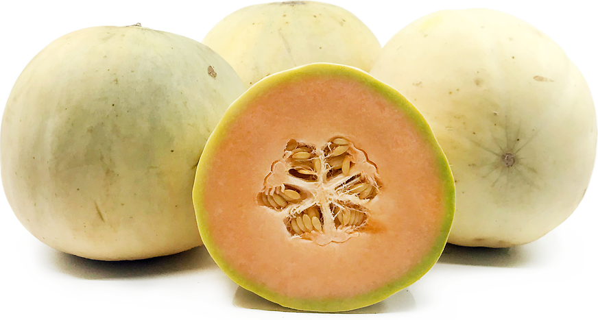 Liscio Mantovano Melons picture