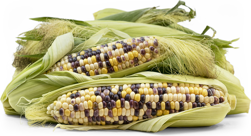 Undomesticated Corn