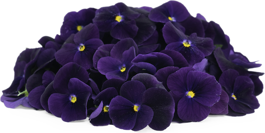 Fresh Flowers Violas Purple picture