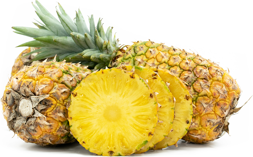 Honeyglow® Pineapple picture
