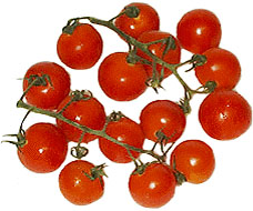 Cocktail Tomatoes picture