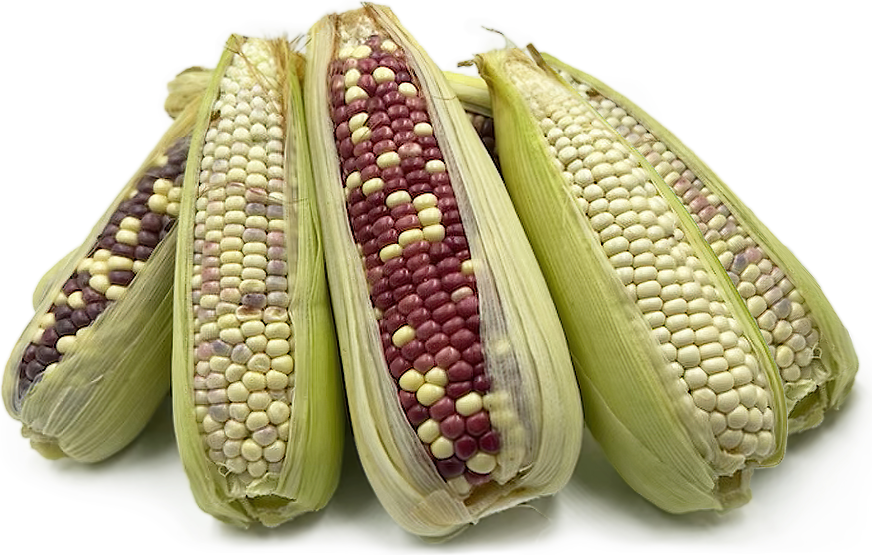Sticky Corn picture