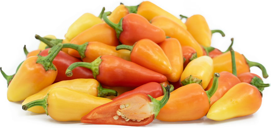 Floral Gem Chile Peppers picture